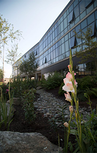 College of the Environment location at Everett University Center