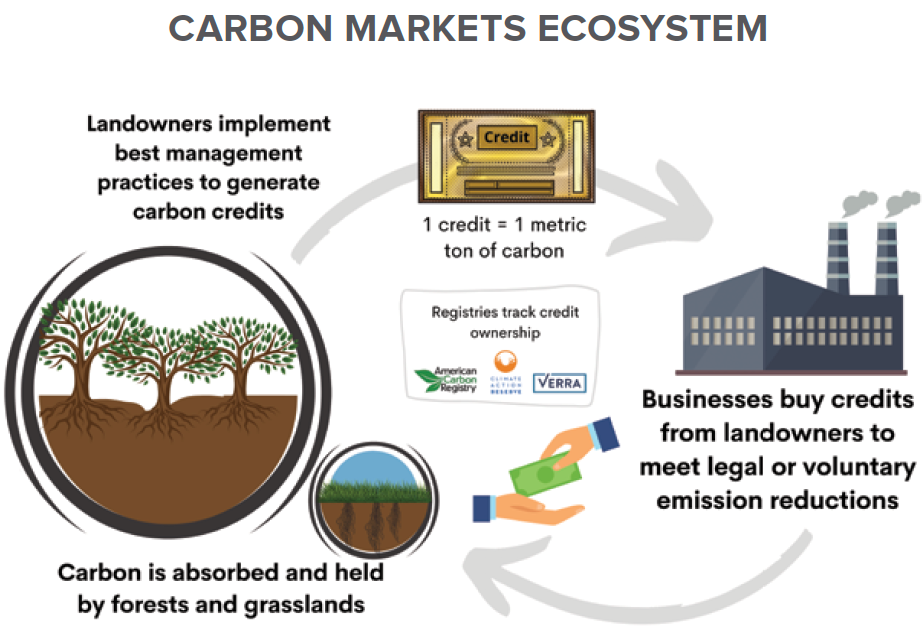 Carbon Market graphic from Land Trust Alliance, 2020